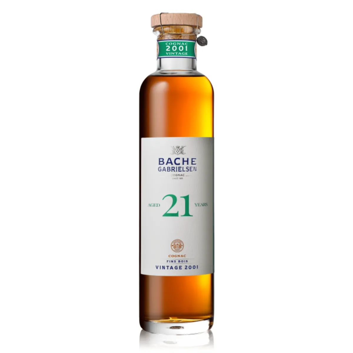 Bache Gabrielsen 21 Years Old (2001)
