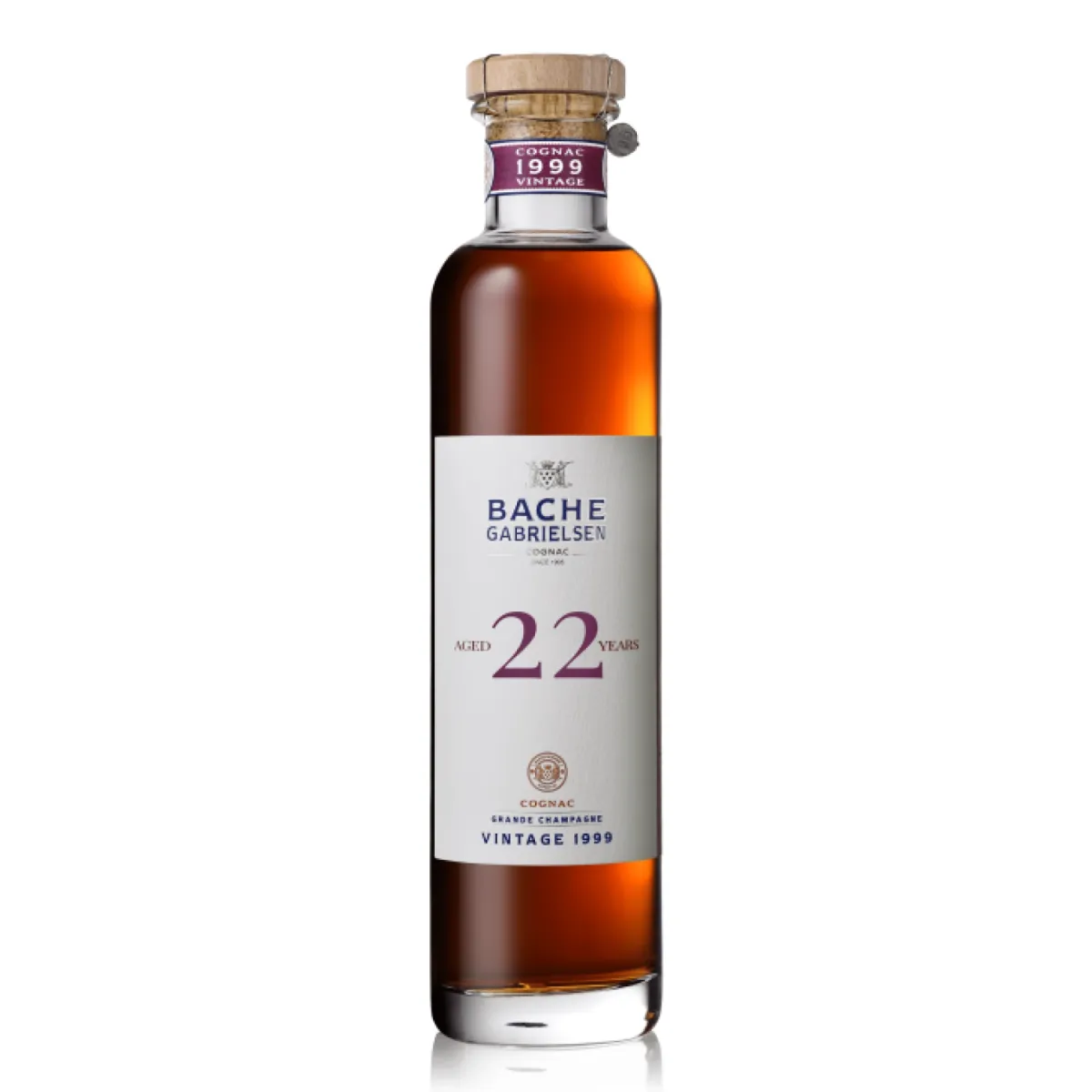 Bache Gabrielsen 22 Years Old (1999)